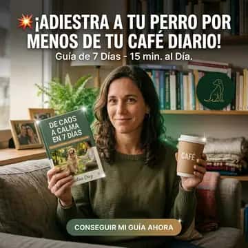 Creativo real generado con 100ads